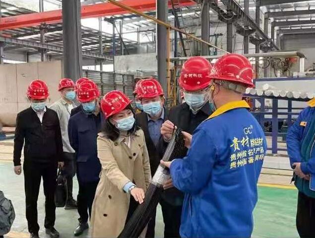 貴陽市常委、市工商聯(lián)、廣東總商會一行到我廠調研